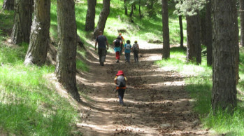 catania-turismo-parco-etna